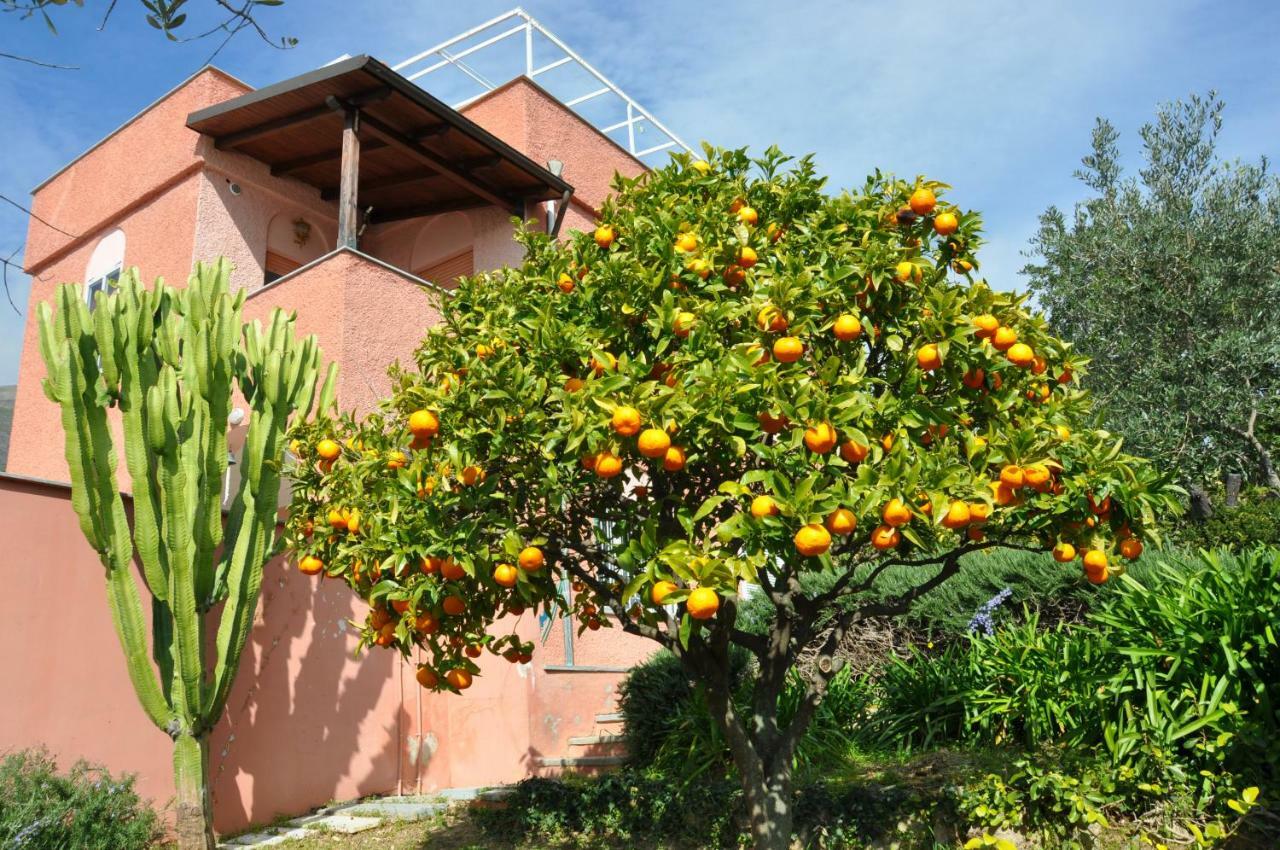 Villa Paolina Ceriale - app. 4 posti Esterno foto