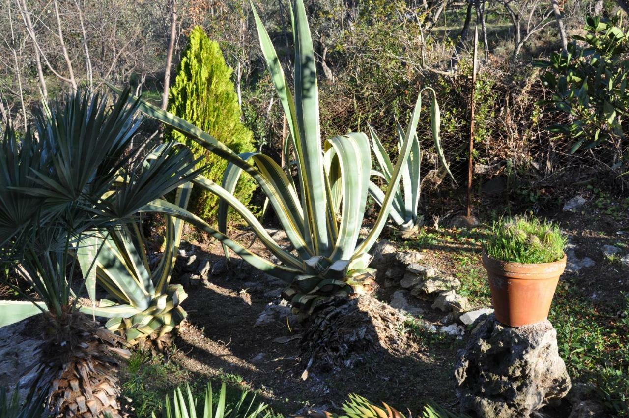 Villa Paolina Ceriale - app. 4 posti Esterno foto